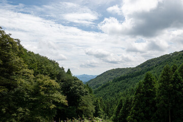 Fototapeta na wymiar 正丸峠からの眺め