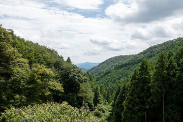 Fototapeta na wymiar 正丸峠からの眺め