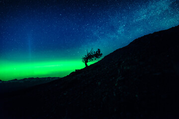 Obraz na płótnie Canvas Northern Lights aka Aurora Borealis at night in Pacific Northwest