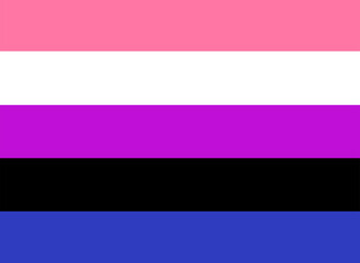 LGBTQ + Genderfluid Flag for the rights of pride and sexuality Vector