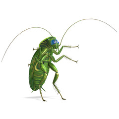 3D-illustration of a creepy cartoon cockroach. isolated rendering object