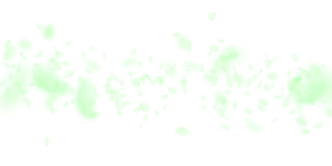 Green flower petals falling down. Remarkable roman