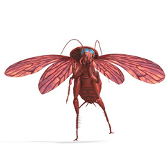 3D-illustration of a creepy cartoon cockroach. isolated rendering object