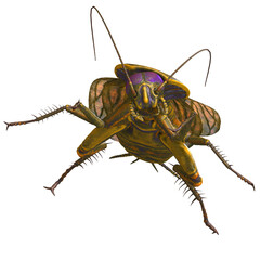 3D-illustration of a creepy cartoon cockroach. isolated rendering object