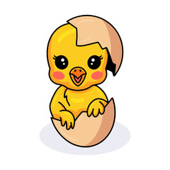 Cute little yellow chick cartoon inside an egg