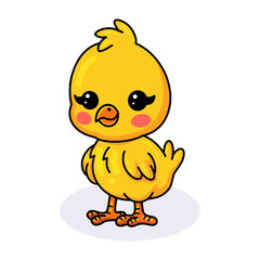 Cute little yellow chick cartoon