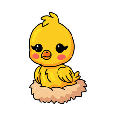 Cute little yellow chick cartoon sitting in a nest