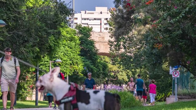 Valencia Spain Turia run park timelapse, resort sity, activities and walking family with childrens 4K
