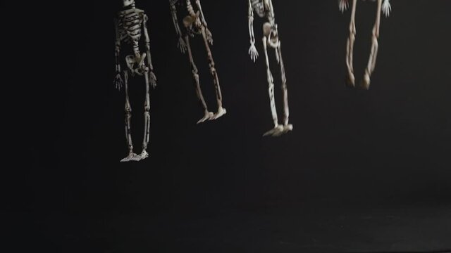Four suspended skeletons dance on a black background. Preparing for a Halloween party. Scary skeletons of a monster hang and dance against a dark background. Autumn, Happy Halloween.