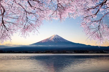 Foto op Canvas Mount Fuji en kersenbloesems © LAYW