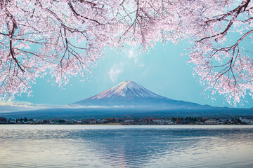 富士山と桜	