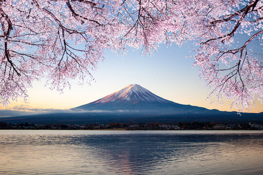富士山と桜　3号 富士山と桜 Cherry blossoms & Mt.Fuji (Shot on RED ONE) - YouTube