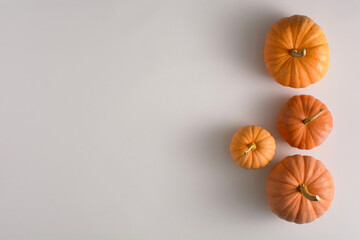Orange pumpkin on white background. Neatly arranged esthetic copy space.