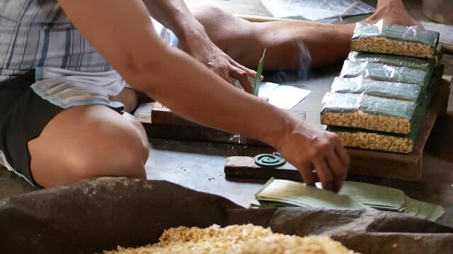 Hand of Indonesian man packing soybeans to banana leaves, javanese traditional tempeh preparation. Wrapping soybeans for fermentation.