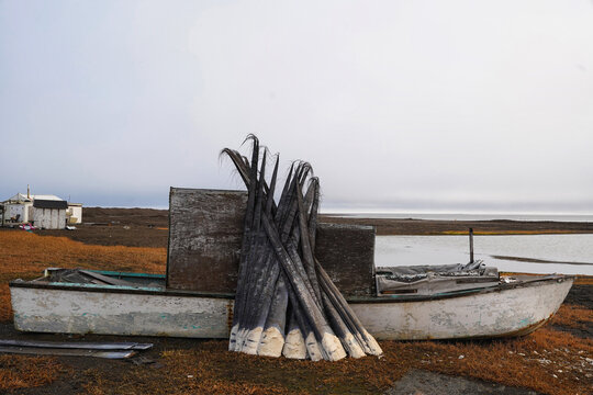 The view through the window of life in the Arctic. Whale baleen resting up against an old fishing boat. 