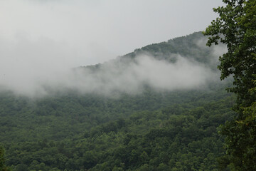 Fototapeta na wymiar Fog over the Hills