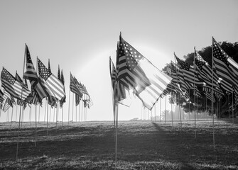 American Flags-black and white