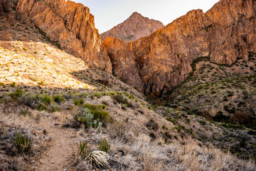 Trail Heading to Cattail Falls in Big Bend