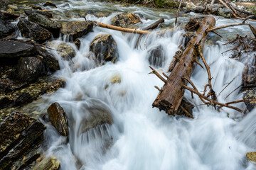 Tree Trunk Wedged in Rocks as Water Rushes Through Paintbrush Canyon