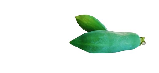 Fototapeta na wymiar Papaya