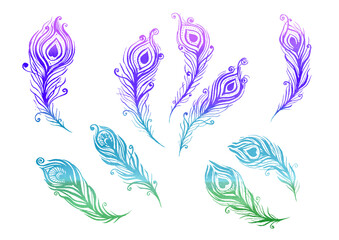 Fototapeta na wymiar Watercolor multicolor Set of birds feather elements in the style of line art wedding theme on a white background. Doodle and scribble. Blue, turquoise, violet, green, purple colorful peacock wings