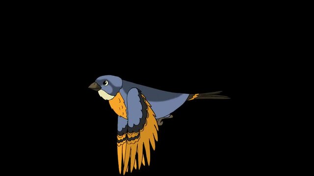  Yellow and blue bird fly cartoon seamless loop animation isolated on chroma key black screen background - new quality unique handmade dynamic joyful colorful video animal bird footage.