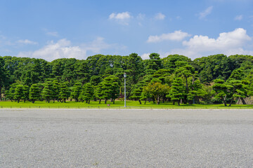 砂利道と皇居の森　桔梗門から坂下門へと皇居外苑に入る。広大なスペース　東京、皇居
