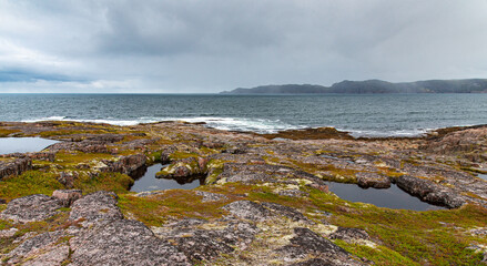 Fototapeta na wymiar shore of the northern ocean is made of stones covered with colorful moss. Teriberka, Barents Sea, Murmansk region, Kola Peninsula