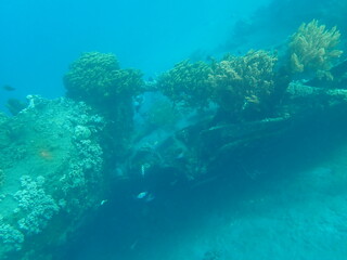 Naklejka na ściany i meble インドネシア　バリ島　アメッドの沈没船