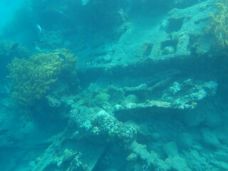 Fototapeta na wymiar インドネシア　バリ島　アメッドの沈没船