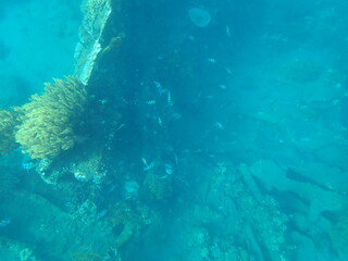 インドネシア　バリ島　アメッドの沈没船