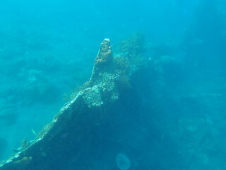 インドネシア　バリ島　アメッドの沈没船