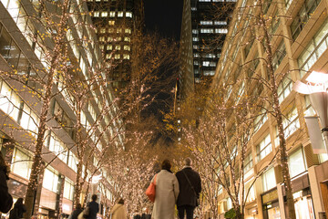 Japanese couple walking on illuminated Marunouchi Nakadori Street in Tokyo during winter　丸の内仲通りを歩くカップル イルミネーション 冬