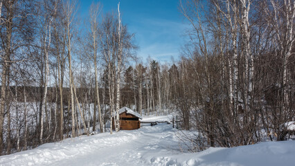 A snow-covered road in a winter birch grove. Bare trunks and branches against the blue sky. There are snowdrifts on the roadsides. A wooden guardhouse and a barrier are visible ahead. Siberia
