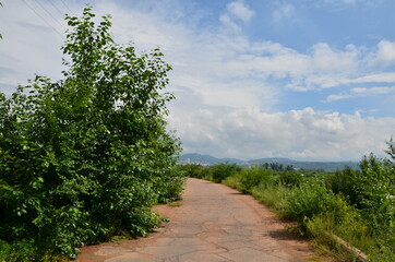 A panorama with tower, tree and bushes