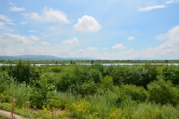 A river with bushes (plain)