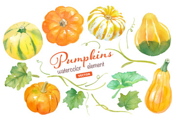 カラフルなカボチャの水彩イラスト。エレメントのセット。ハロウィン、収穫祭の装飾。（ベクターデータ）