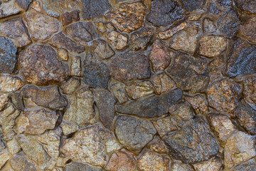 A stone wall texture using for a background. 