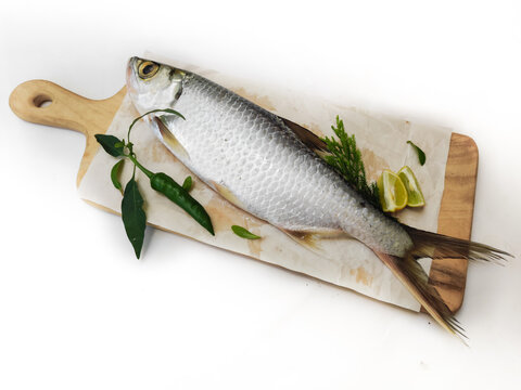 Fresh Indo-Pacific tarpon fish decorated with herbs and vegetables on a wooden pad,Selective focus.White background.