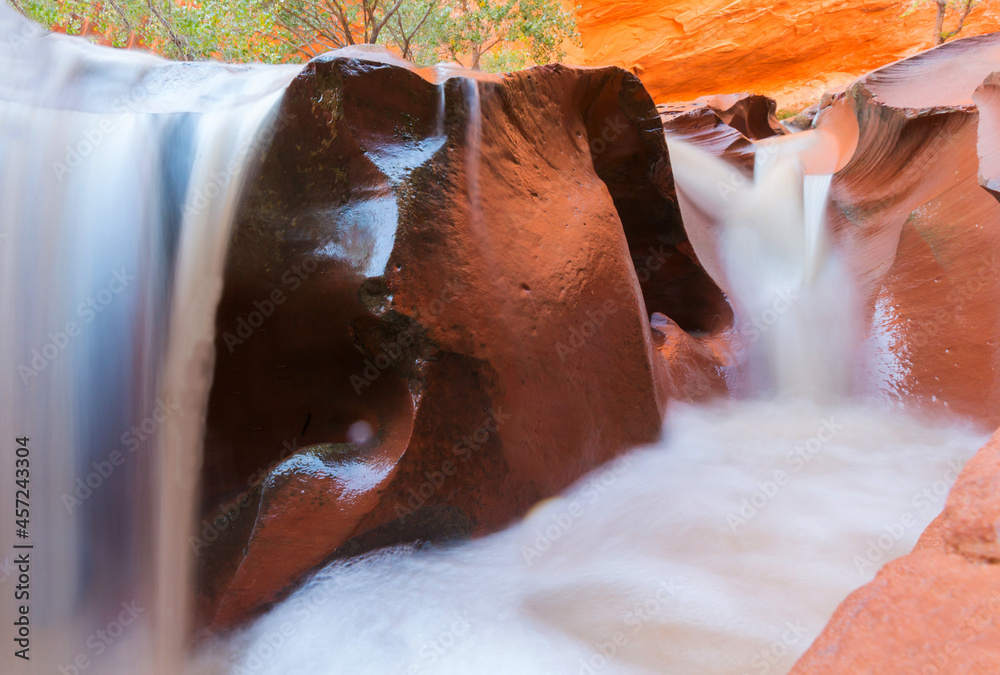 Wall mural cascade