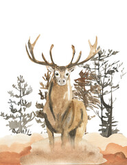 watercolor illustration of a deer among the trees, light sketch