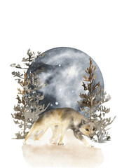 watercolor illustration of a wolf among the trees and the moon from behind, light sketch