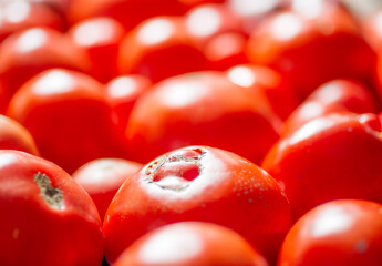 A background of a large number of red tomatoes. 