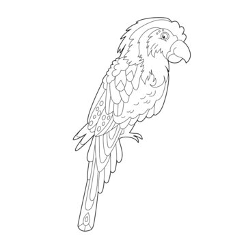 Contour linear illustration for coloring book with decorative parrot. Beautiful predatory  bird,  anti stress picture. Line art design for adult or kids  in zen-tangle style, tatoo and coloring page.