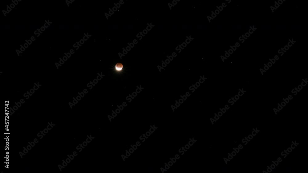 Wall mural time lapse of a blood moon eclipse with the moon rising high into the sky against a dark and starry 