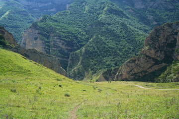 green valley of the mountain. Meadows. Caucause