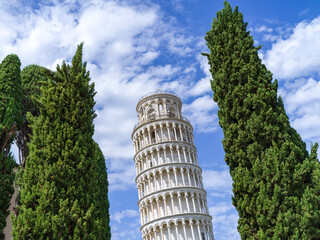 View of the Leaning Tower of Pisa among the trees 