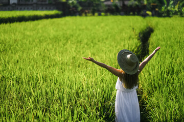 Girl in a hat walks in a rice field, Bali, Indonesia.