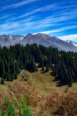 landscape in the mountains