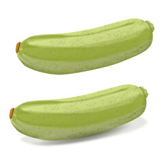Set of delicate green zucchini squash vegetable marrow with shadows realistic